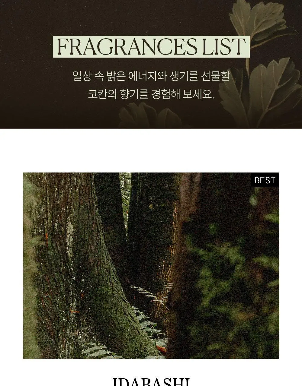 [젖은숲/우디향] 코칸 핸드메이드 샤쉐 42g 이다바시 상세페이지 18